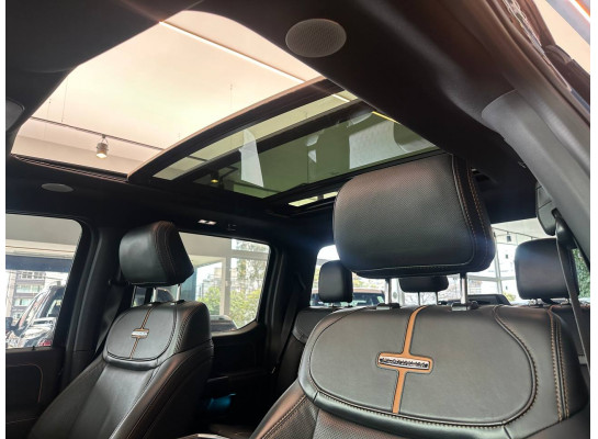 Ford F150 5.0 V8 GASOLINA CD PLATINUM FX4 AUTOMÁTICO 2023/2023